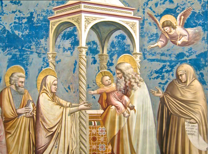 462C4343-E6AE-4D16-96B2-B894192E702E